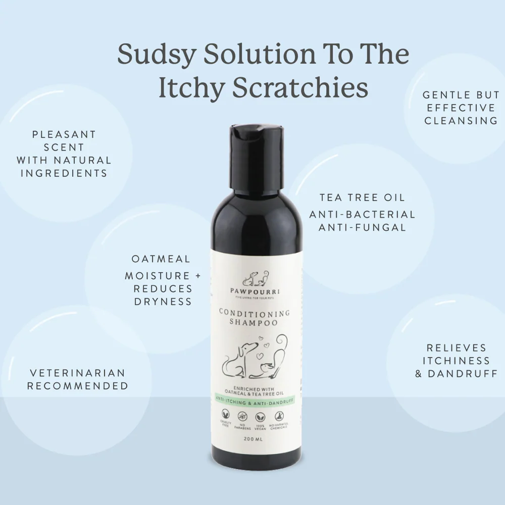 Pawpourri Anti Itch and Anti Bacterial Shampoo for Dogs - Image 4