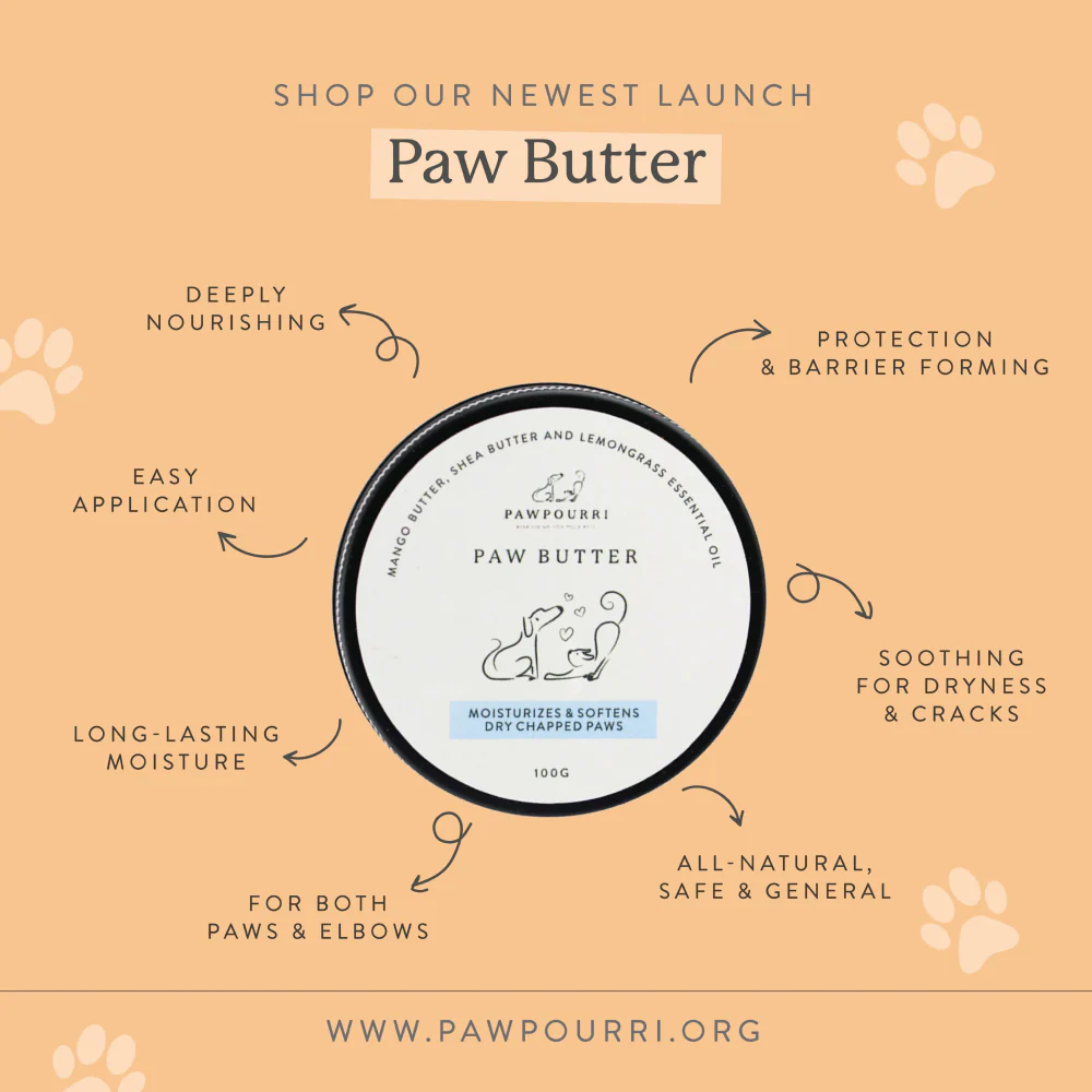Pawpourri Butter Paw Cream for Dogs and Cats - Image 2