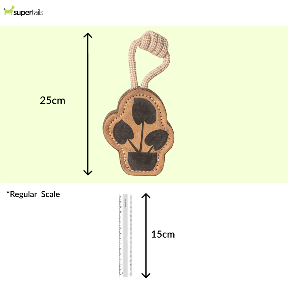 Pawpourri Plant Shaped Chew Toy for Dogs (Brown) - Image 2