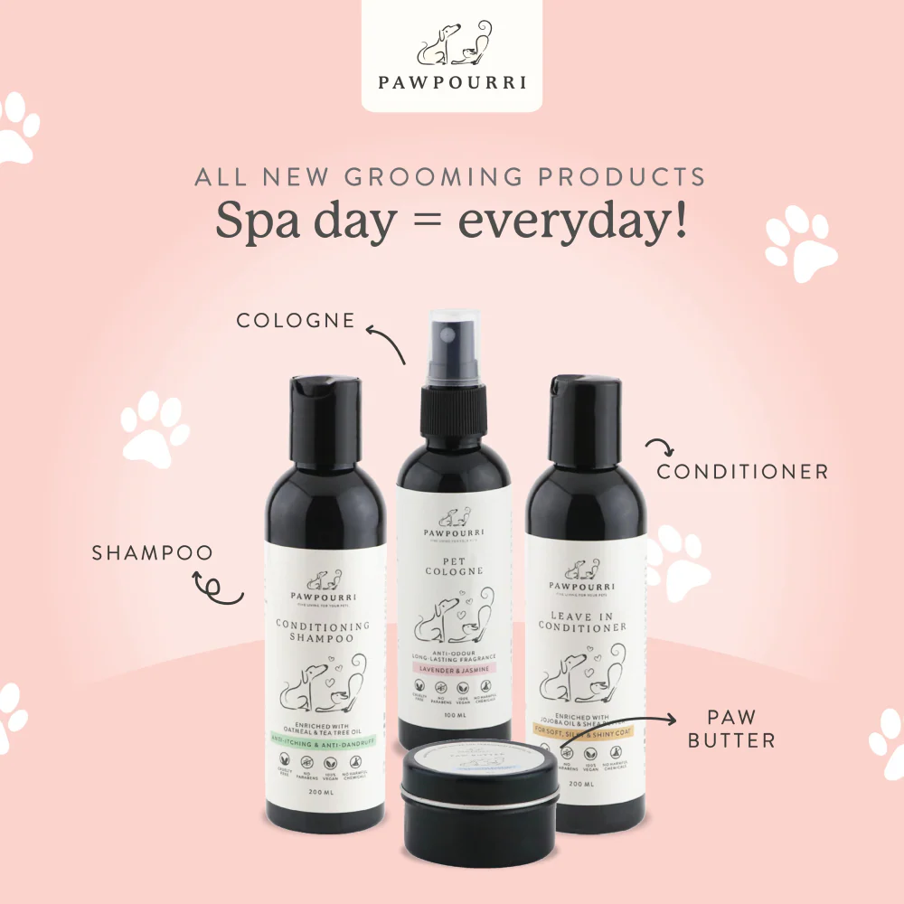 Pawpourri Leave In Conditioner for Dogs - Image 5