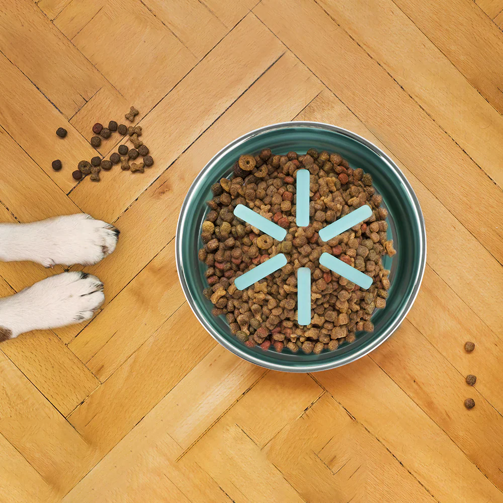 Pawpourri Premium Bowl with Silicone Slow Insert for Dogs and Cats - Image 3