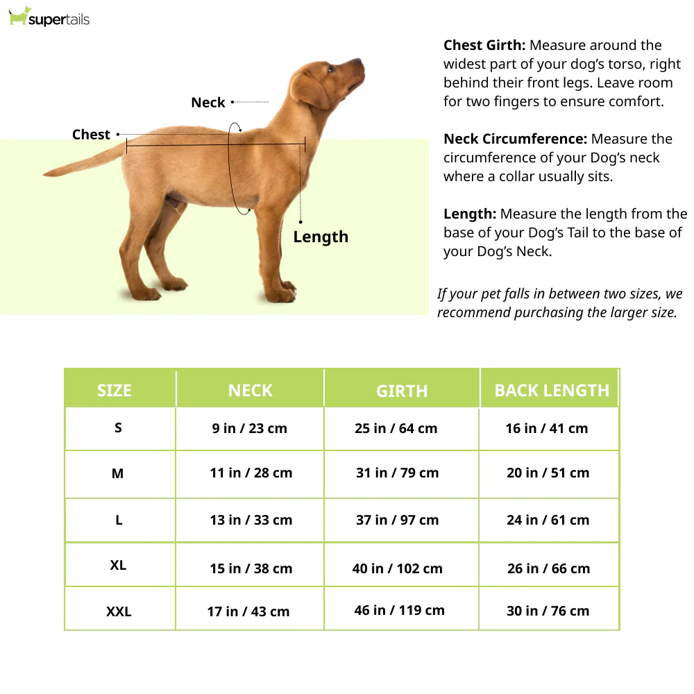 Pawpourri Puffer Jacket for Dogs (Lime Green) - Image 4