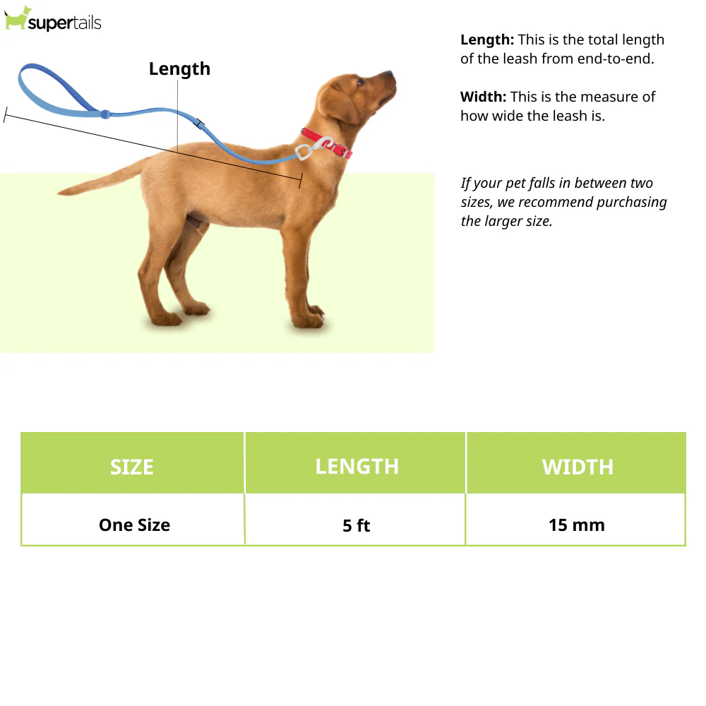 Pawpourri Retractable Leash for Dogs and Cats (Orange) - Image 2