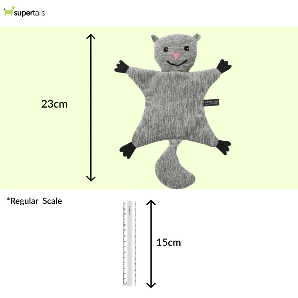 Pawpourri Squirrel Flattie Toy for Dogs - Image 2