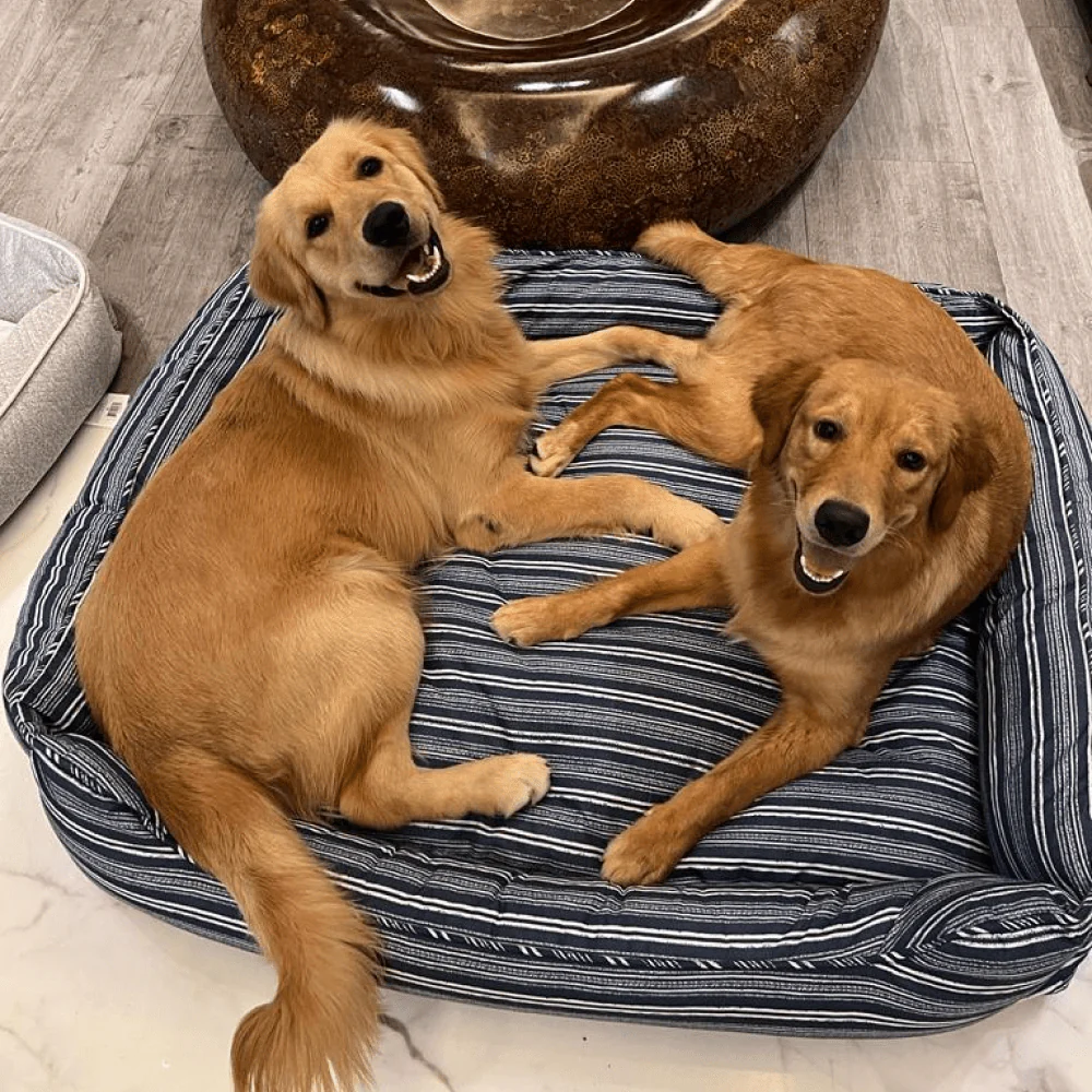 Pawpourri Striped Cuddler Bed for Dogs and Cats (Blue Stripe) - Image 2