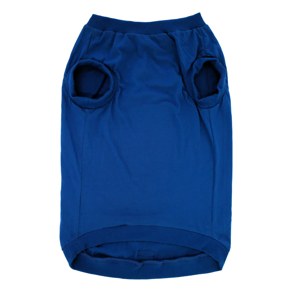 Pawpourri Tiny Influencer T Shirt for Dogs (Blue) - Image 3