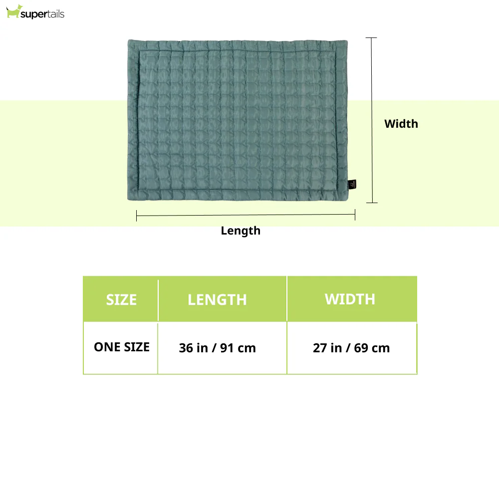 Pawpourri Travel Mat for Dogs and Cats (Blue) - Image 2