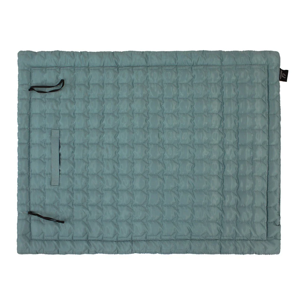 Pawpourri Travel Mat for Dogs and Cats (Blue) - Image 3