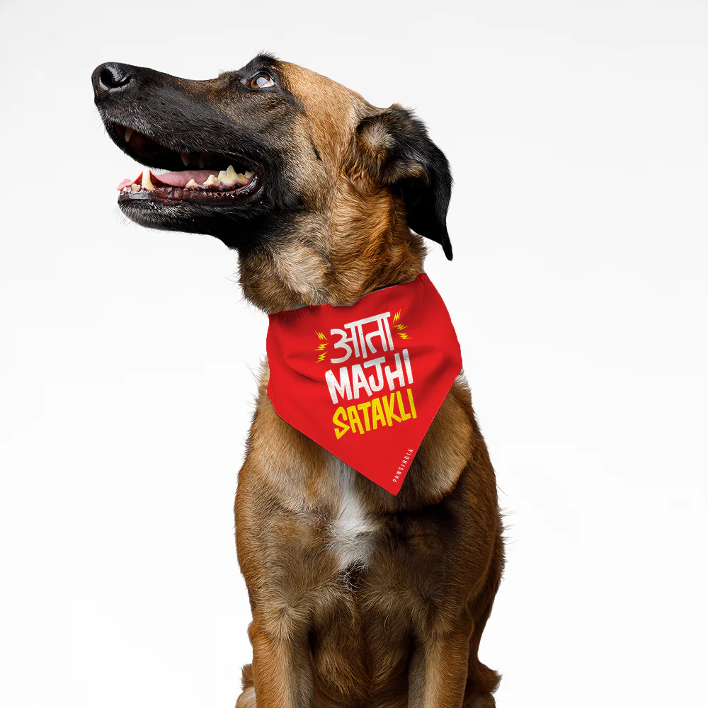 Pawsindia Ata Mazi Satakli Pet Bandana for Dogs and Cats - Image 2