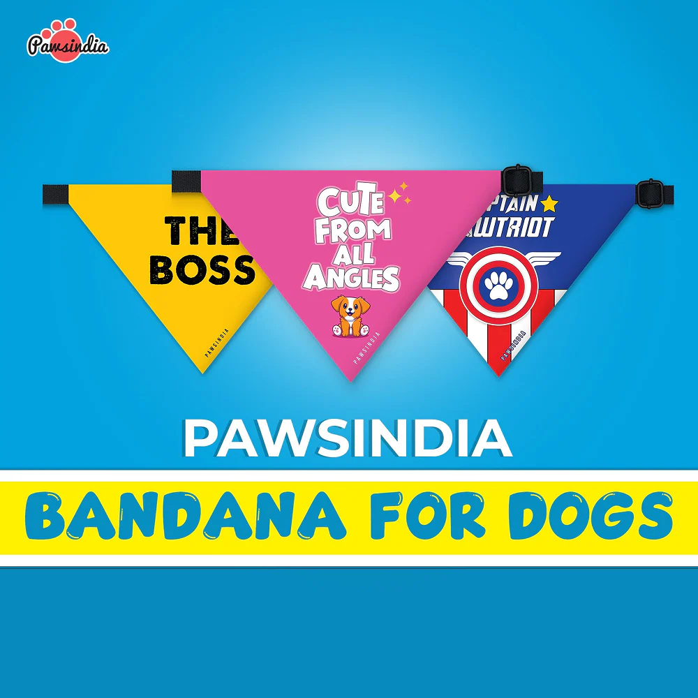 Pawsindia Ata Mazi Satakli Pet Bandana for Dogs and Cats - Image 3