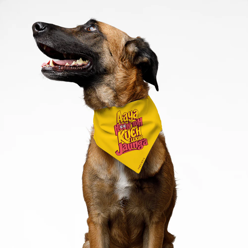 Pawsindia Aya Hu Toh Kuch Lekar Jaunga Pet Bandana for Dogs and Cats - Image 2