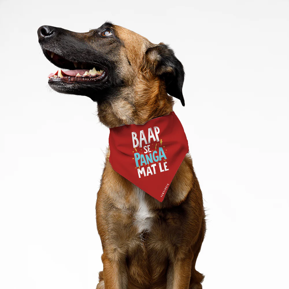 Pawsindia Baap Se Panga Mat Le Pet Bandana for Dogs and Cats - Image 2