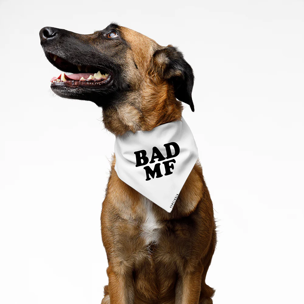 Pawsindia Bad MF Pet Bandana for Dogs and Cats - Image 2