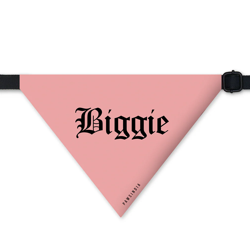 Pawsindia Biggie Pet Bandana for Dogs and Cats - Image 2