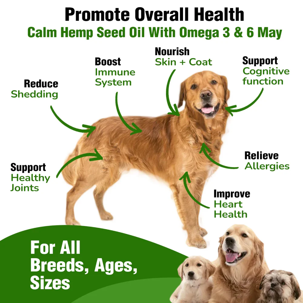 Pawsindia Calm Hemp Seed Oil for Dogs and Cats - Image 2