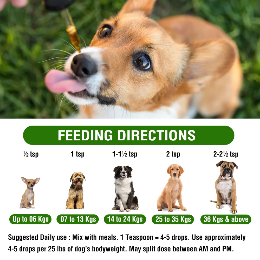 Pawsindia Calm Hemp Seed Oil for Dogs and Cats - Image 4