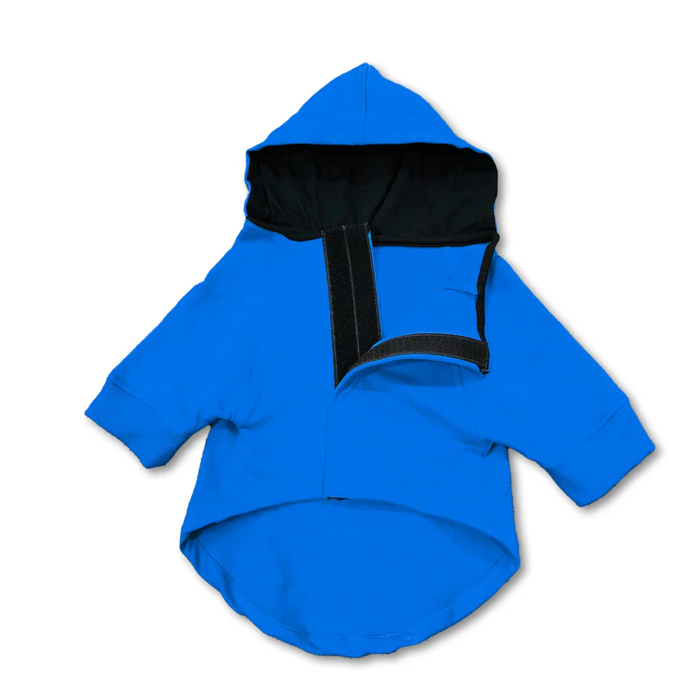 Pawsindia Caution Kaafi Sanskari Hoodie for Dogs (Blue) - Image 4