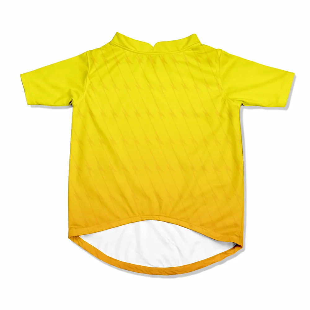 Pawsindia Chennai Super Pups T20 Pets Premier League Jersey for Cats | Indian Pet League - Image 4