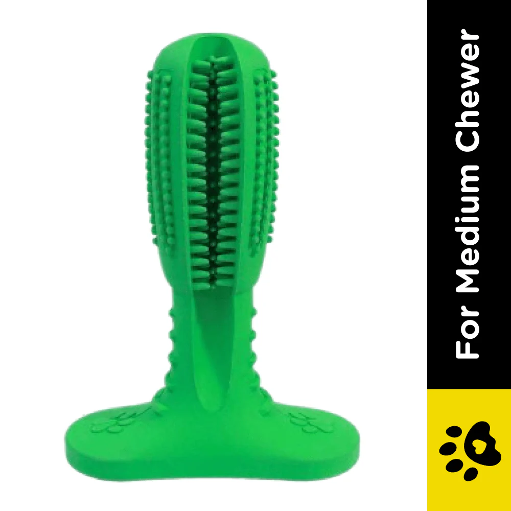 Pawsindia Dental Toy for Dogs (Green) - Image 2