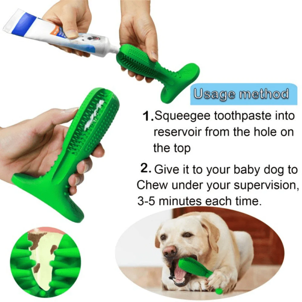 Pawsindia Dental Toy for Dogs (Green) - Image 3