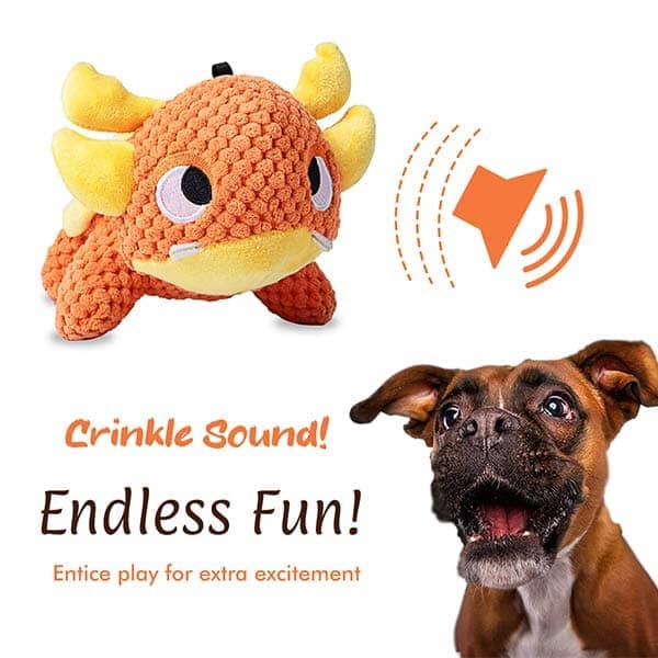Pawsindia Drogo the Turtle Toy for Dogs - Image 4