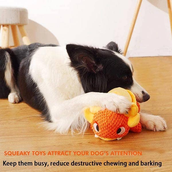 Pawsindia Drogo the Turtle Toy for Dogs - Image 5