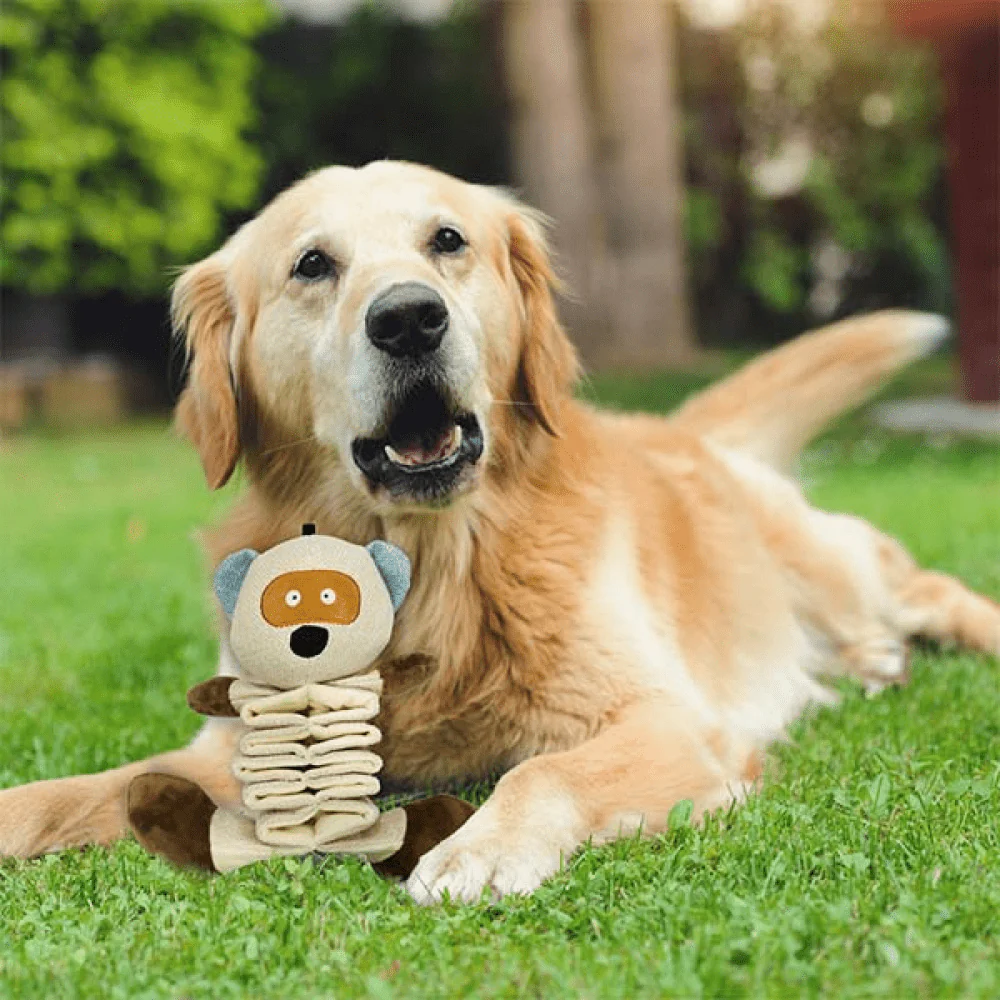 Pawsindia Enlarge the Teddy Toy for Dogs - Image 5