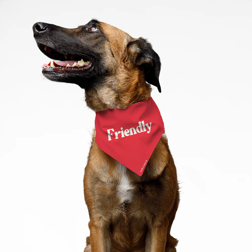 Pawsindia Friendly Pet Bandana for Dogs and Cats - Image 3