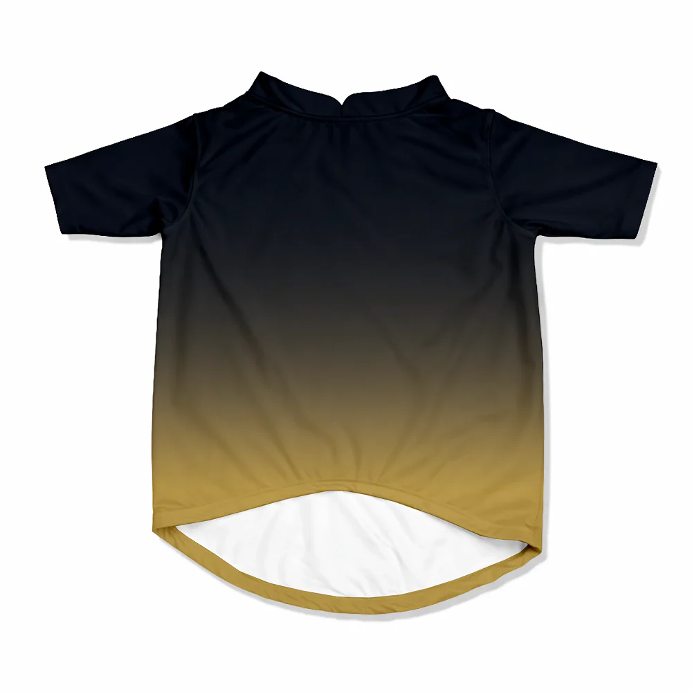 Pawsindia Gujarat Doggies T20 Pets Premier League Jersey for Cats | Indian Pet League - Image 2