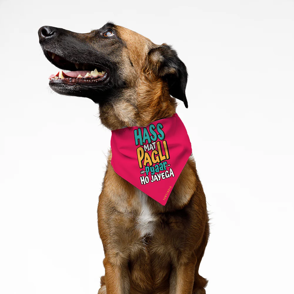 Pawsindia Hass Mat Pagli Pyar Ho Jayega Bandana for Dogs - Image 3