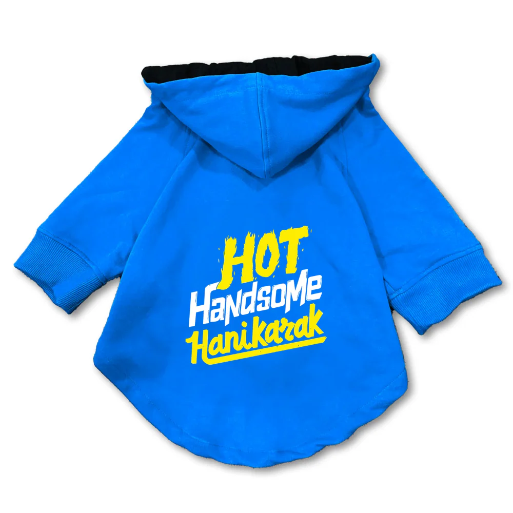Pawsindia Hot Handsome Hanikarak Hoodie for Dogs (Blue) - Image 3