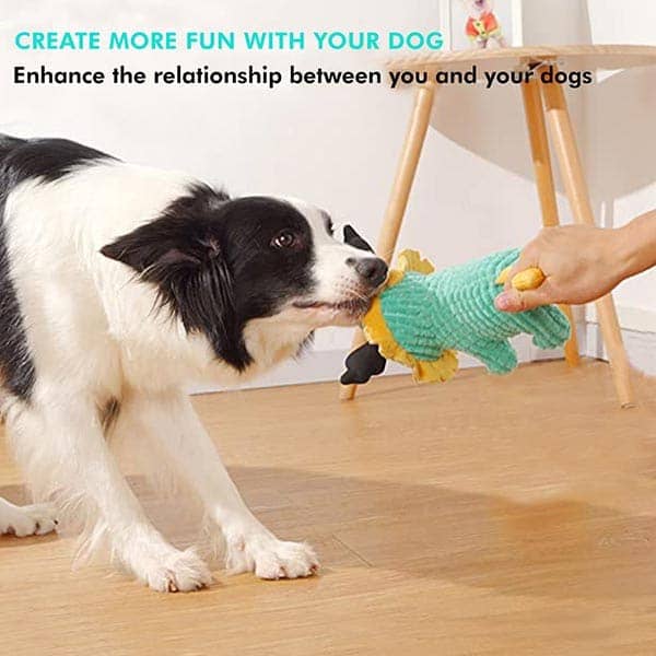 Pawsindia King the Cub Toy for Dogs - Image 3