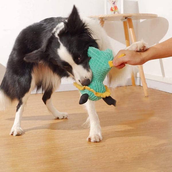 Pawsindia King the Cub Toy for Dogs - Image 5