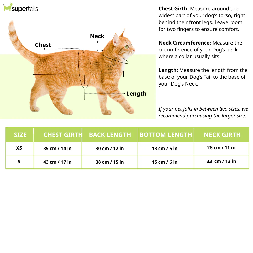 Pawsindia Punjab Puppies T20 Pets Premier League Jersey for Cats | Indian Pet League - Image 4