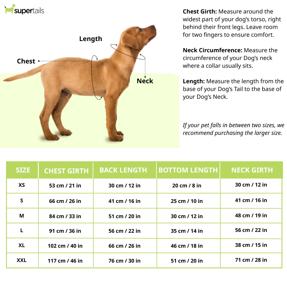 Pawsindia Round Neck Indian Cricket Jersey for Dogs - Image 2