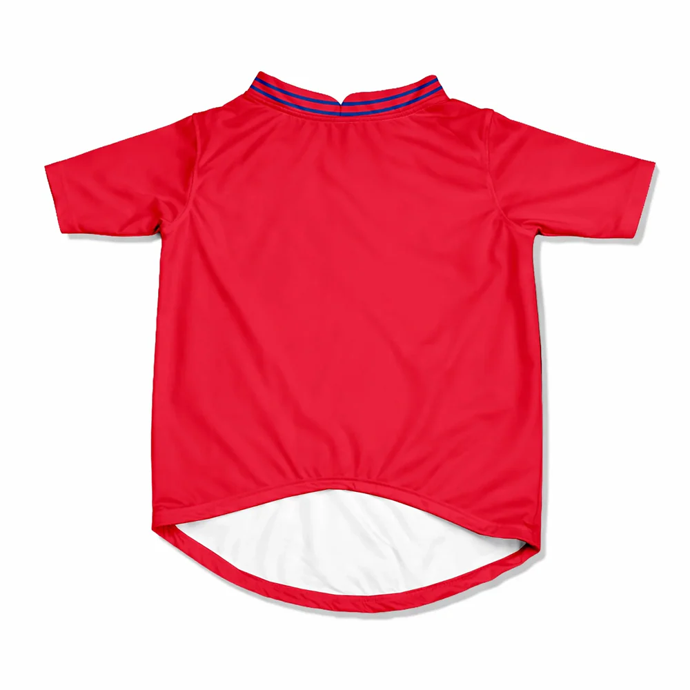 Pawsindia Lucknow Super Pups T20 Pets Premier League Jersey for Cats | Indian Pet League - Image 4