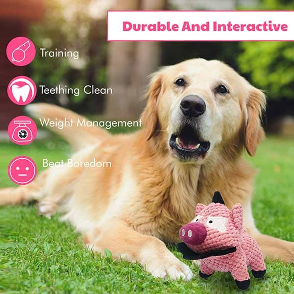 Pawsindia Peppa the Pig Toy for Dogs - Image 4