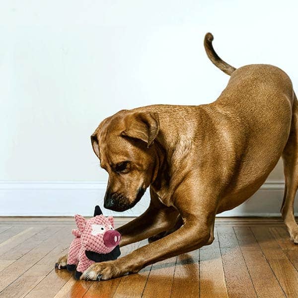Pawsindia Peppa the Pig Toy for Dogs - Image 6
