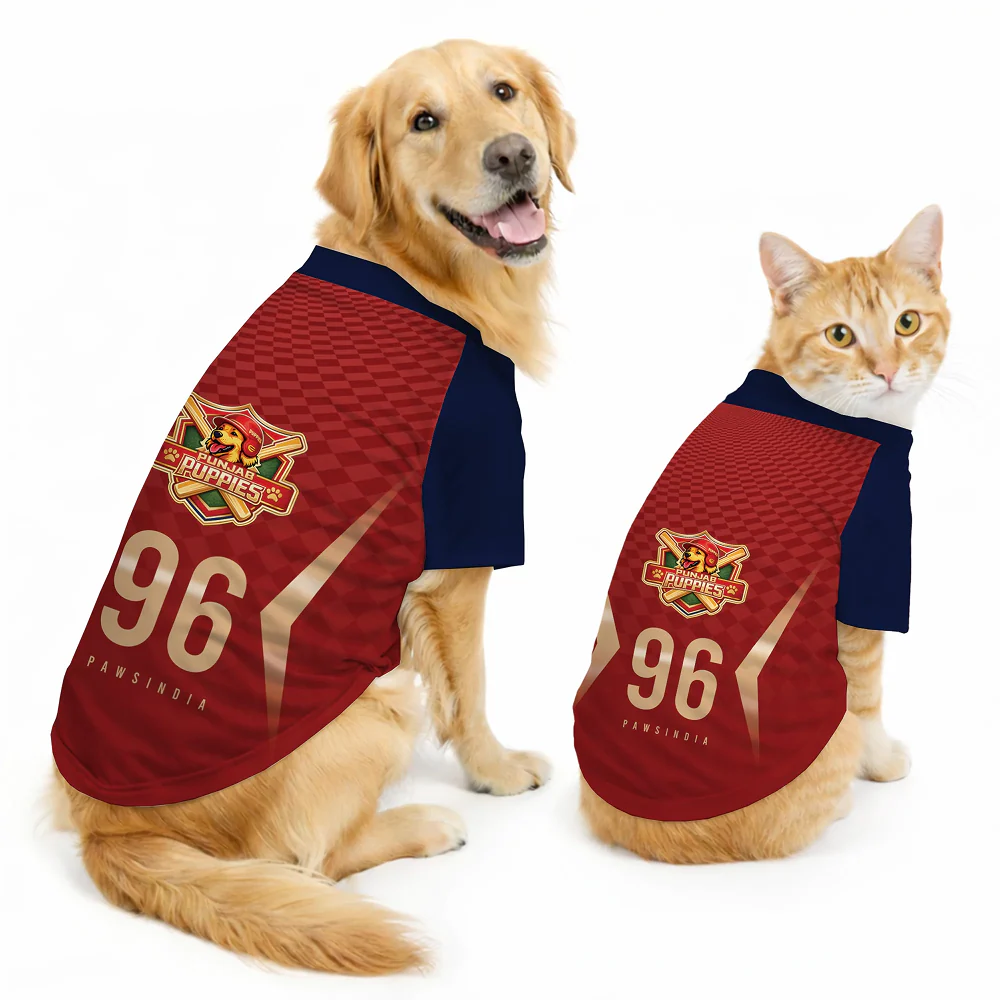 Pawsindia Punjab Puppies T20 Pets Premier League Jersey for Cats | Indian Pet League - Image 2
