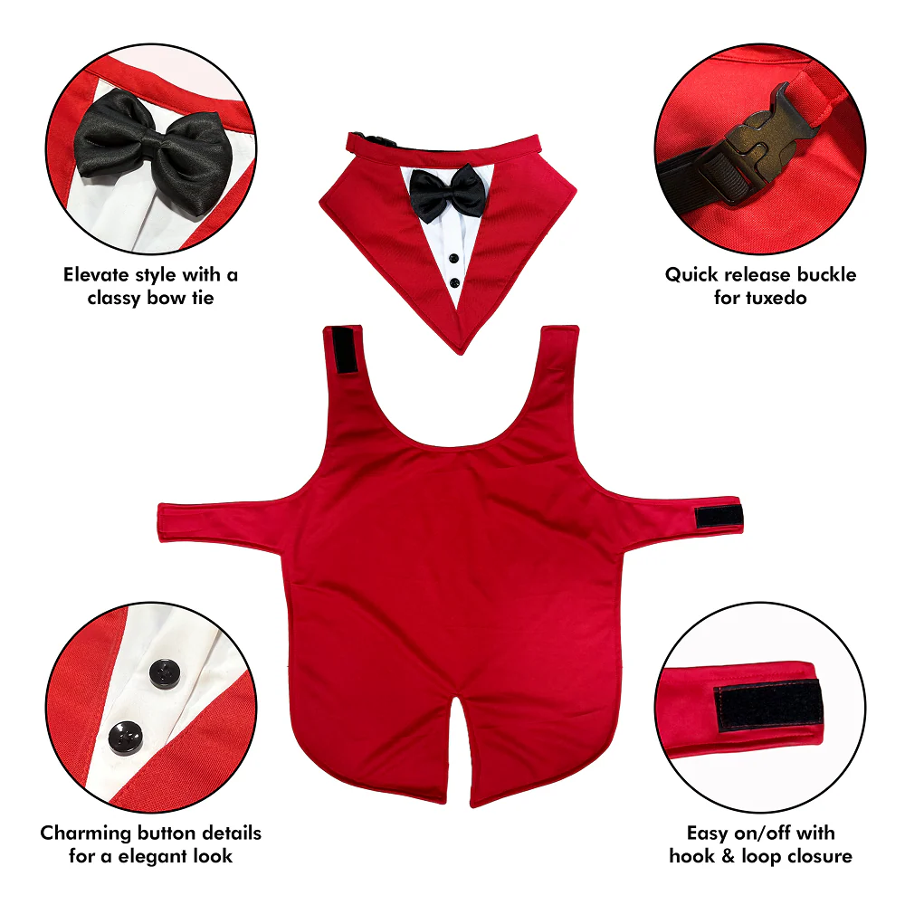 PawsIndia Red & White Tuxedo Suit for Dogs - Image 2