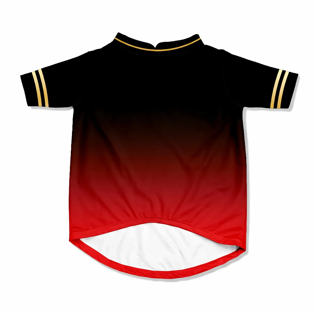 Pawsindia Royal Pups Of Bangalore T20 Pets Premier League Jersey for Cats | Indian Pet League - Image 4