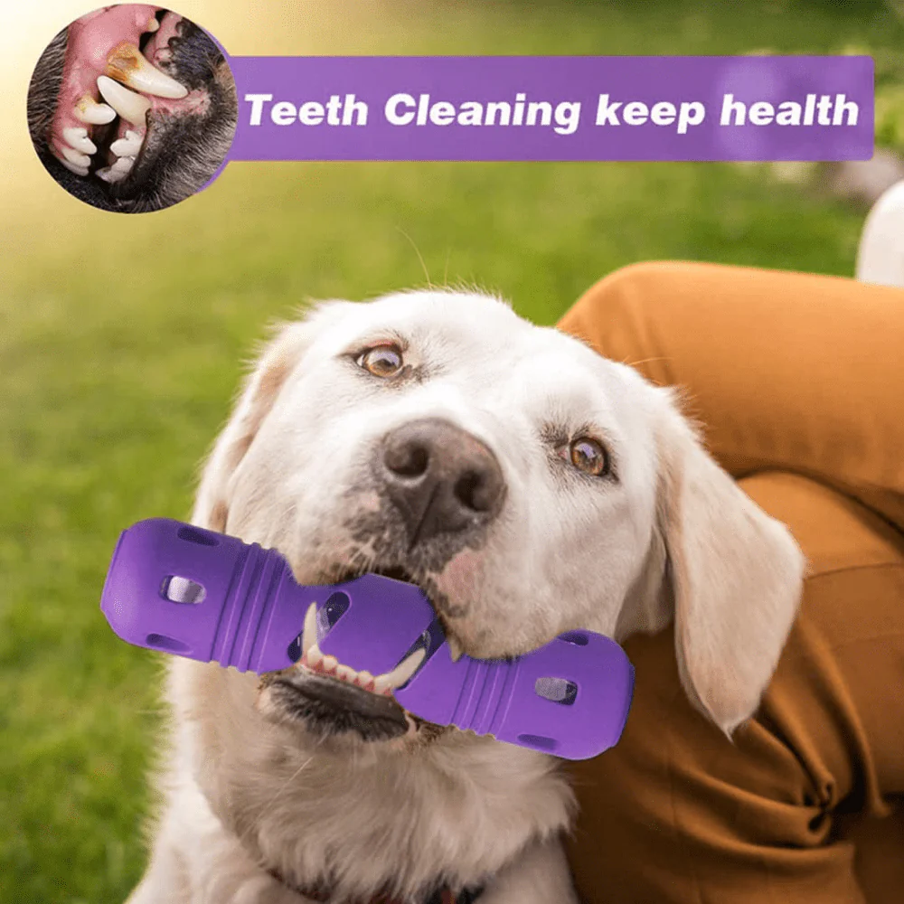 Pawsindia Rubber Bottle Chew Toy for Dogs (Purple) - Image 7