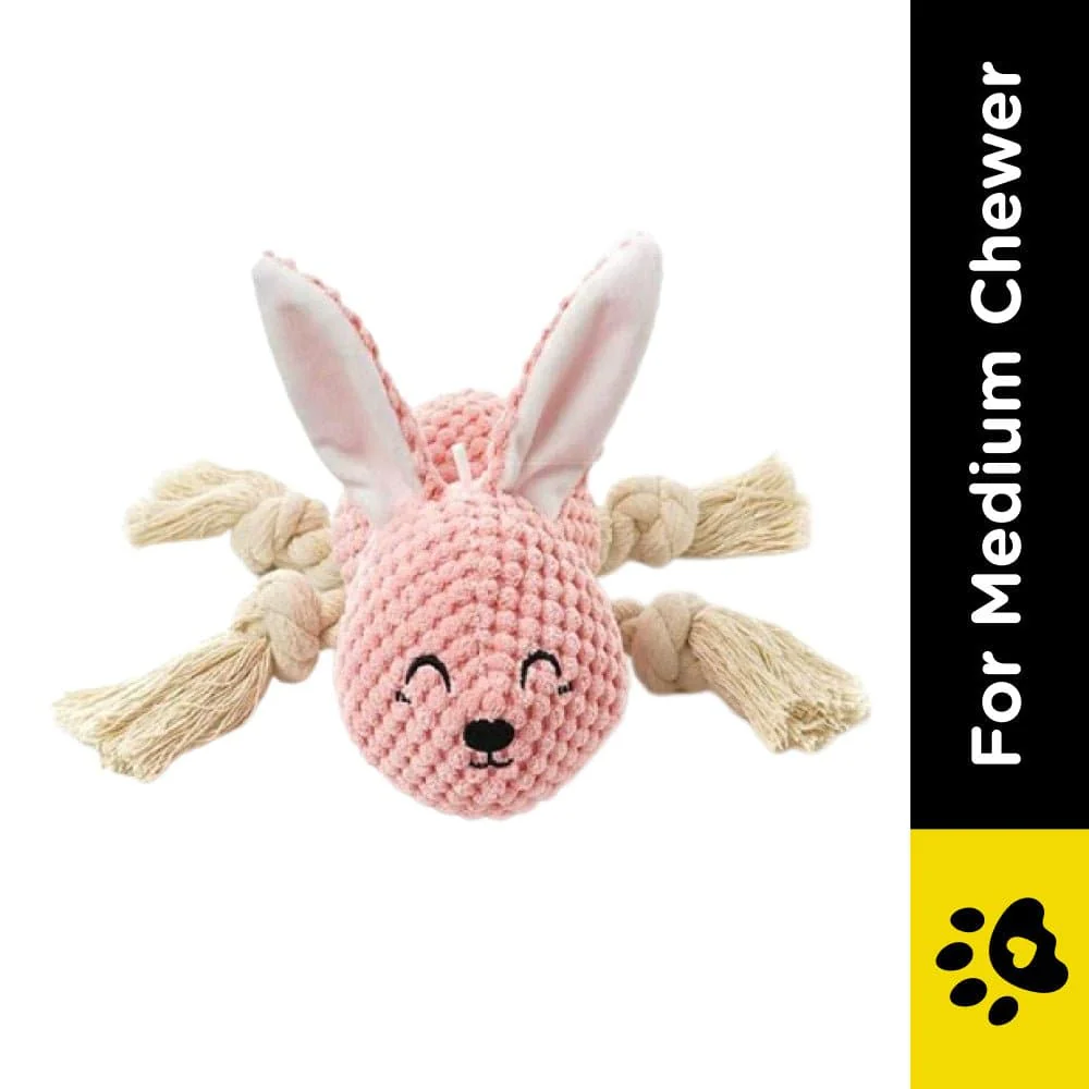 Pawsindia Sleepy Bunny Toy for Dogs - Image 2