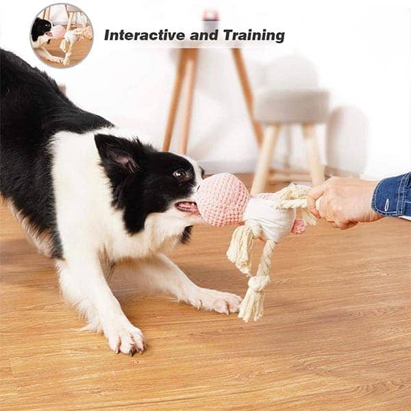 Pawsindia Sleepy Bunny Toy for Dogs - Image 5