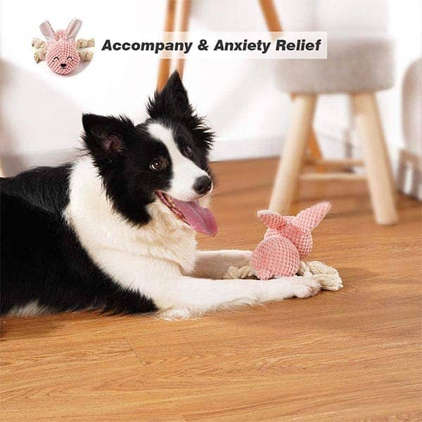 Pawsindia Sleepy Bunny Toy for Dogs - Image 6