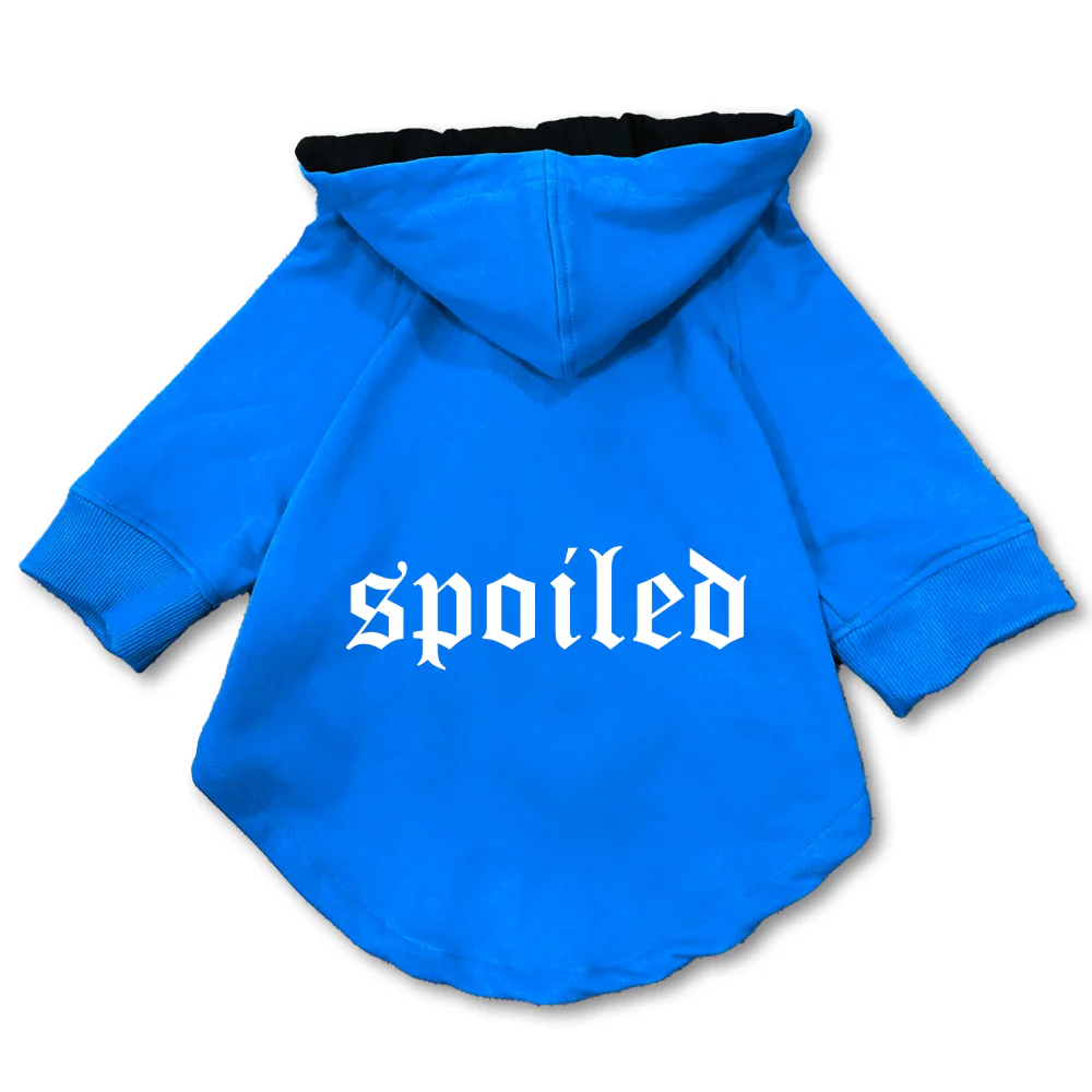 Pawsindia Spoiled Hoodie for Dogs (Blue) - Image 3