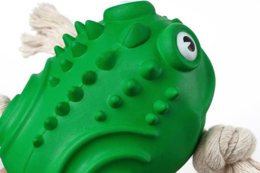 Pawsindia The Mighty Toad Toy for Dogs - Image 5