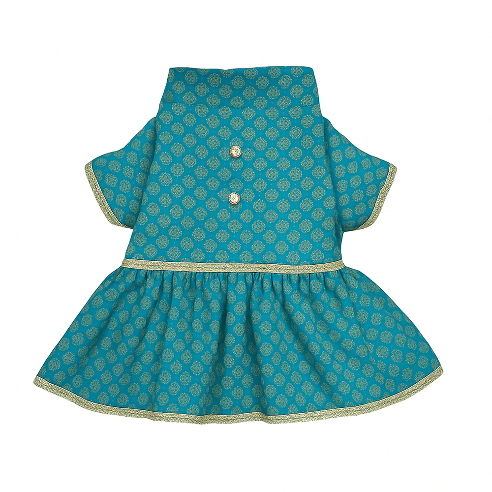 Pawsindia Traditional Royal Brocade Dress for Cats (Aqua Green) - Image 3