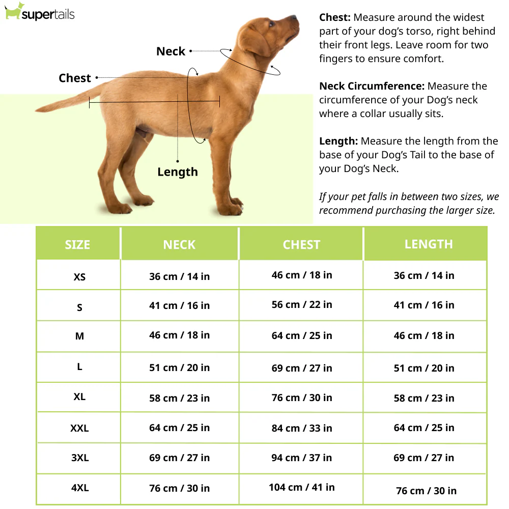 Pawsindia Traditional Royal Brocade Dress for Dogs (Aqua Green) - Image 2