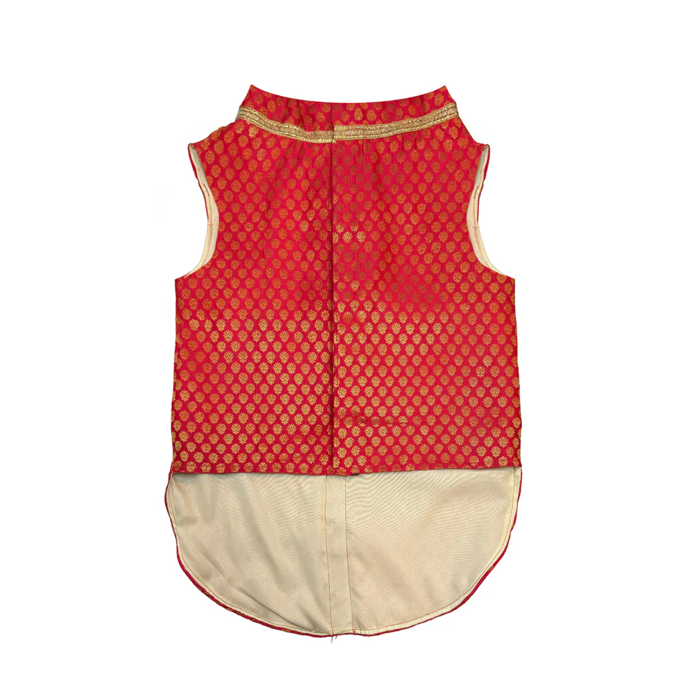 Pawsindia Traditional Royal Brocade Kurta for Cats (Red) - Image 2